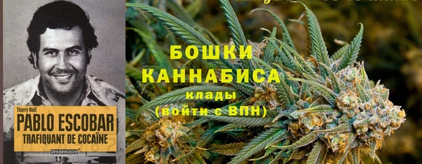 мет Абаза
