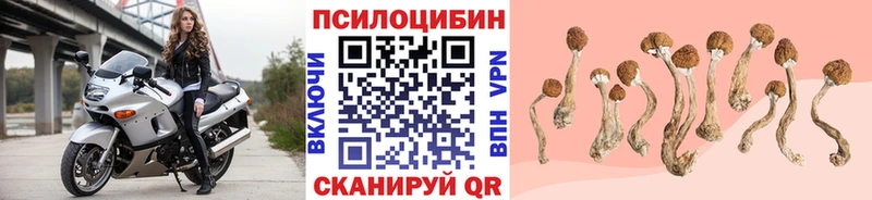 Псилоцибиновые грибы прущие грибы  где купить   Киров 