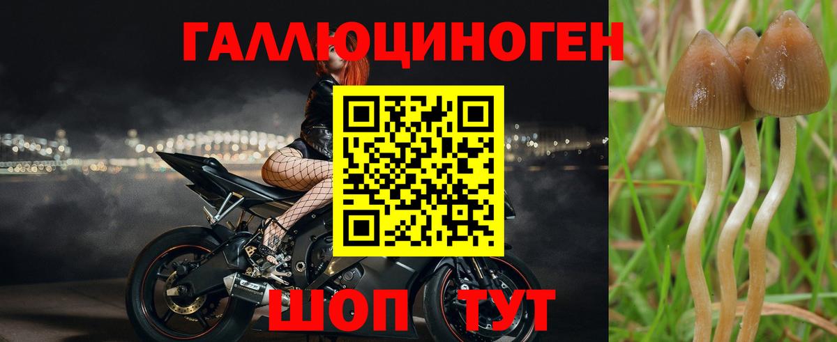 Галлюциногенные грибы Cubensis  Вход с VPN  Киров 